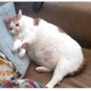 Meet your Posher, Chloe